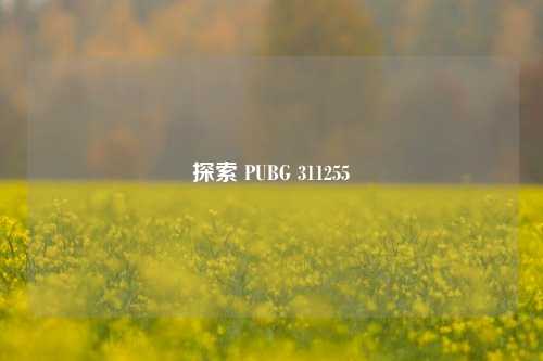 探索 PUBG 311255