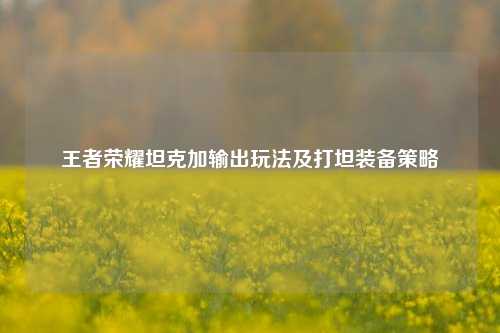 王者荣耀坦克加输出玩法及打坦装备策略