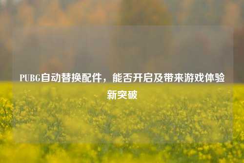 PUBG自动替换配件，能否开启及带来游戏体验新突破