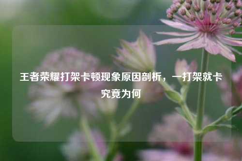 王者荣耀打架卡顿现象原因剖析，一打架就卡究竟为何