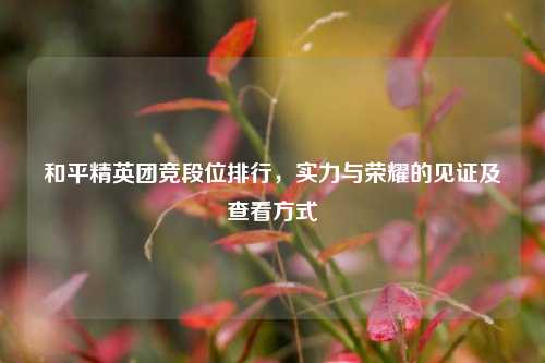 和平精英团竞段位排行，实力与荣耀的见证及查看方式