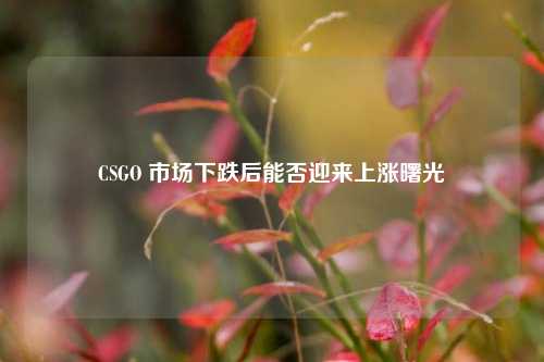 CSGO 市场下跌后能否迎来上涨曙光