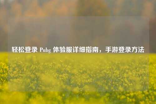 轻松登录 Pubg 体验服详细指南，手游登录方法