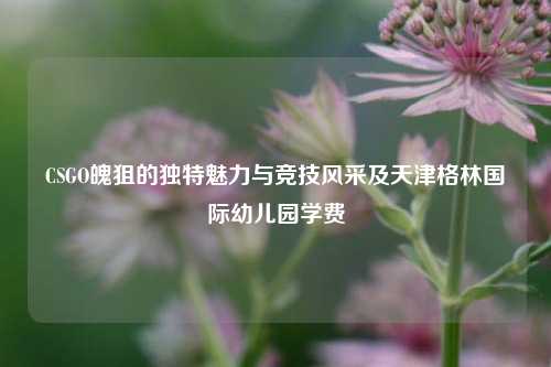 CSGO魄狙的独特魅力与竞技风采及天津格林国际幼儿园学费