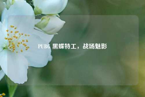 PUBG 黑蝶特工，战场魅影