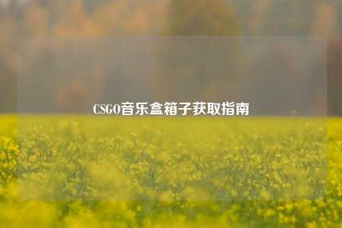 CSGO音乐盒箱子获取指南