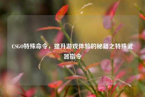 CSGO特殊命令，提升游戏体验的秘籍之特殊武器指令