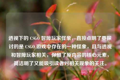 透视下的 CSGO 智障玩家怪象，直接点明了要探讨的是 CSGO 游戏中存在的一种怪象，且与透视和智障玩家相关，保留了原内容的核心元素，简洁明了又能吸引读者对相关现象的关注。