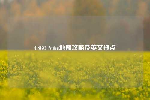 CSGO Nuke地图攻略及英文报点