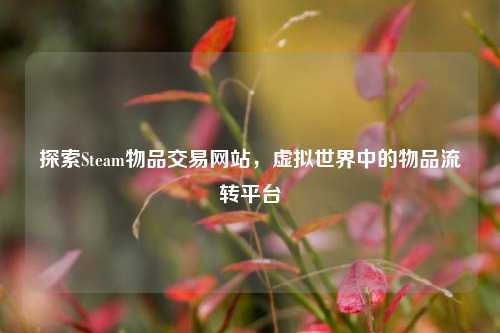 探索Steam物品交易网站，虚拟世界中的物品流转平台