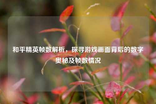 和平精英帧数解析，探寻游戏画面背后的数字奥秘及帧数情况