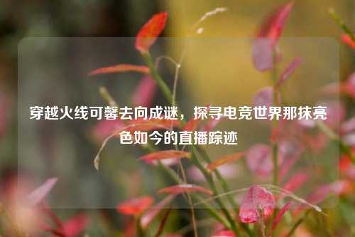 穿越火线可馨去向成谜，探寻电竞世界那抹亮色如今的直播踪迹