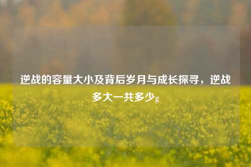 逆战的容量大小及背后岁月与成长探寻，逆战多大一共多少g