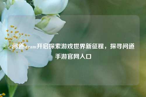 问道steam开启探索游戏世界新征程，探寻问道手游官网入口