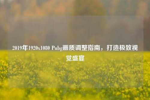 2019年1920x1080 Pubg画质调整指南，打造极致视觉盛宴