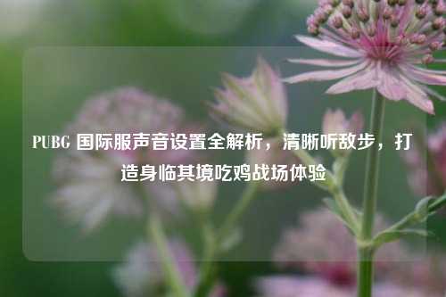 PUBG 国际服声音设置全解析，清晰听敌步，打造身临其境吃鸡战场体验