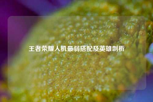王者荣耀人机最弱搭配及英雄剖析