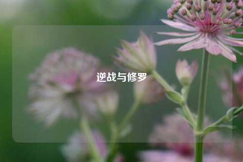 逆战与修罗
