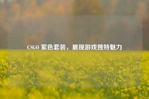 CSGO 紫色套装，展现游戏独特魅力