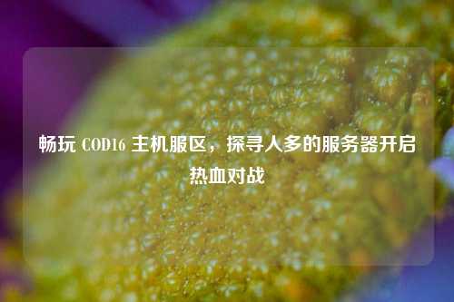 畅玩 COD16 主机服区，探寻人多的服务器开启热血对战