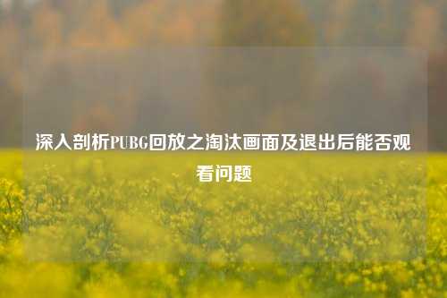 深入剖析PUBG回放之淘汰画面及退出后能否观看问题