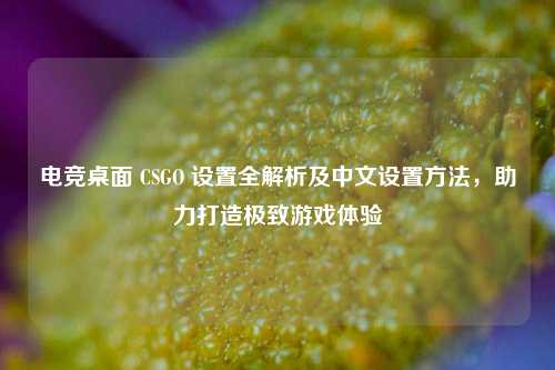 电竞桌面 CSGO 设置全解析及中文设置方法，助力打造极致游戏体验