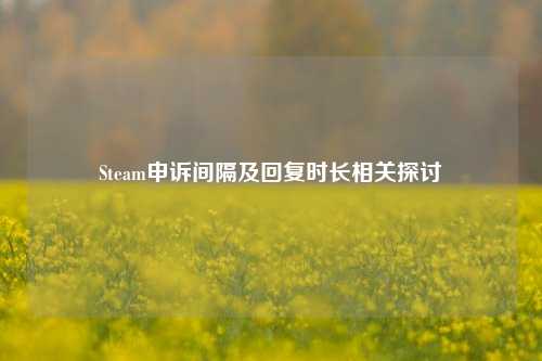 Steam申诉间隔及回复时长相关探讨