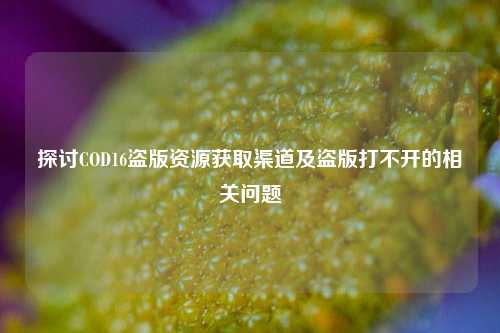 探讨COD16盗版资源获取渠道及盗版打不开的相关问题