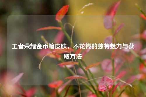 王者荣耀金币箱皮肤，不花钱的独特魅力与获取方法