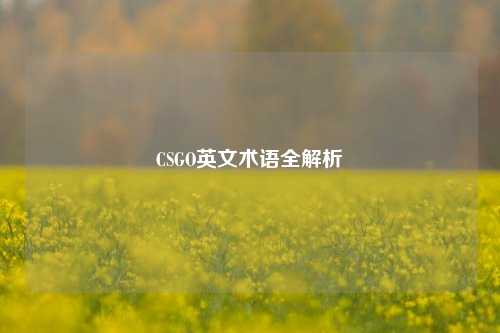 CSGO英文术语全解析