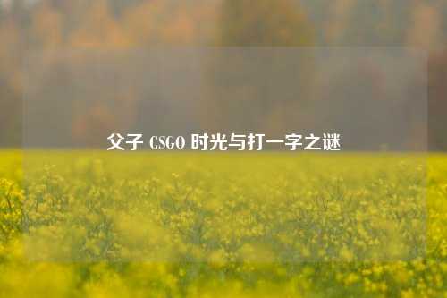 父子 CSGO 时光与打一字之谜
