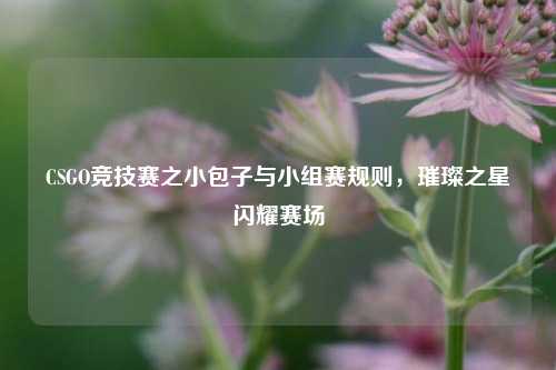 CSGO竞技赛之小包子与小组赛规则，璀璨之星闪耀赛场