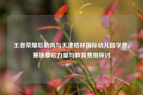 王者荣耀后勤岗与天津格林国际幼儿园学费，赛场幕后力量与教育费用探讨