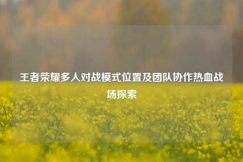 王者荣耀多人对战模式位置及团队协作热血战场探索