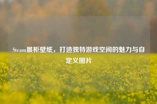 Steam展柜壁纸，打造独特游戏空间的魅力与自定义图片