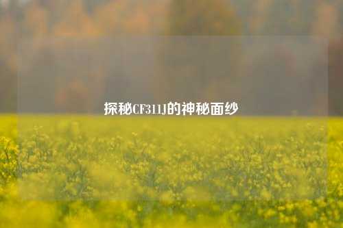 探秘CF311J的神秘面纱