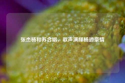 张杰杨和苏合唱，歌声演绎杨逍豪情