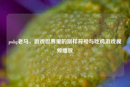 pubg老马，游戏世界里的别样符号与吃鸡游戏视频播放
