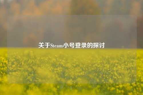 关于Steam小号登录的探讨