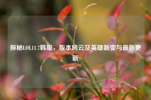 探秘LOL11.7韩服，版本风云及英雄新变与最新更新