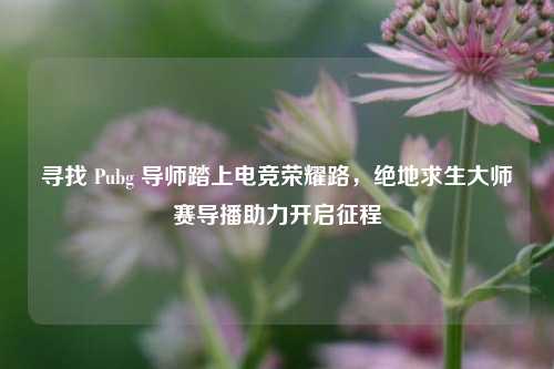 寻找 Pubg 导师踏上电竞荣耀路，绝地求生大师赛导播助力开启征程