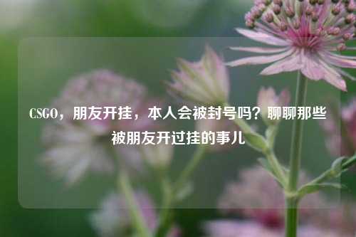 CSGO，朋友开挂，本人会被封号吗？聊聊那些被朋友开过挂的事儿