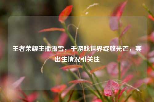 王者荣耀主播露雪，于游戏世界绽放光芒，其出生情况引关注