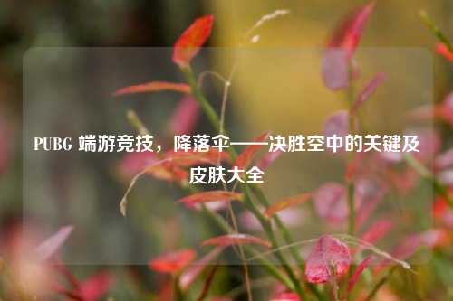 PUBG 端游竞技，降落伞——决胜空中的关键及皮肤大全