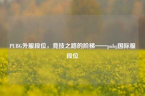 PUBG外服段位，竞技之路的阶梯——pubg国际服段位