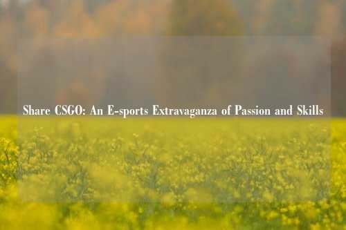 Share CSGO: An E-sports Extravaganza of Passion and Skills