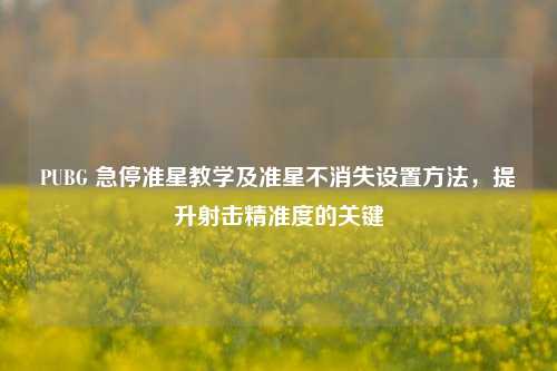 PUBG 急停准星教学及准星不消失设置方法，提升射击精准度的关键