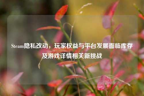 Steam隐私改动，玩家权益与平台发展面临库存及游戏详情相关新挑战