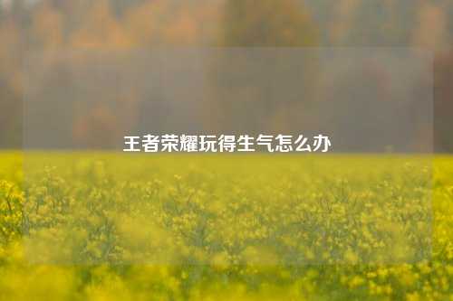 王者荣耀玩得生气怎么办