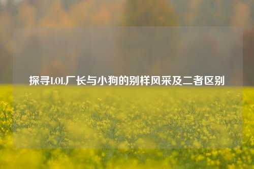 探寻LOL厂长与小狗的别样风采及二者区别